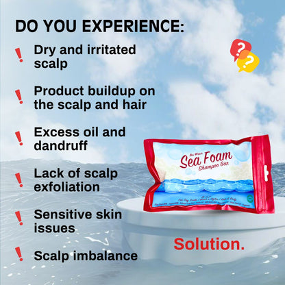 Sea Foam Soap Bar